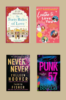 Punk 57 + LOATHE TO LOVE YOU+ The Forty Rules of love + Never Never 4 books combo romance