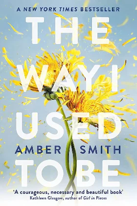 The Way I Used To Be: TikTok made me buy it! (Paperback) – by Amber Smith